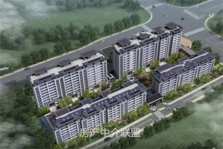 新六大街百花园旁！贰号公馆送家具家电.电梯洋房.拎包入住